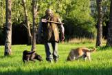 Een man, vergezeld van zijn twee trouwe honden, zoekt zorgvuldig naar truffels in het bos.