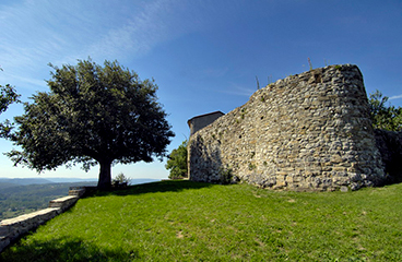 Steinstruktur einer mittelalterlichen istrischen Stadt umgeben von grünem Gras