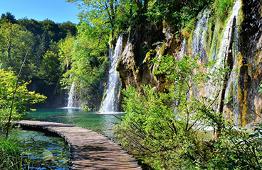 a waterfall in a forest