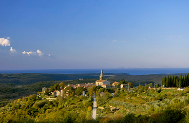 Luftaufnahme der mittelalterlichen istrischen Stadt Grožnjan, umgeben von einem Wald.