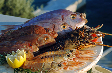 Lokale adriatische Meeresfrüchte auf einem Teller