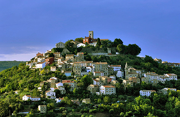 a hillside with houses and trees