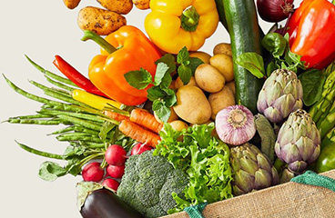 Frisches Gemüse und Obst in verschiedenen Farben und Sorten.
