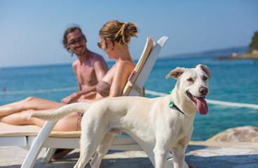 Hund mit seinen Besitzern, einem Paar, das einen Liegestuhl und einen Sonnenschirm am Hundestrand gemietet hat