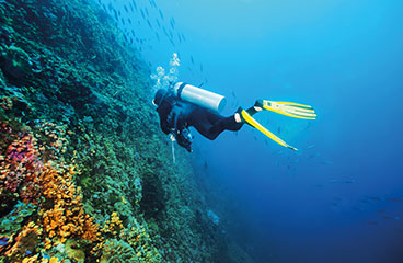 Diving centre