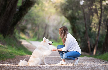 Vrouw en een hond op een grindpad in de natuur